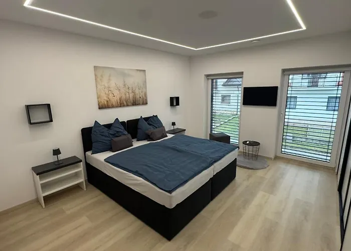 Zahradnicka アパート ミヤバ