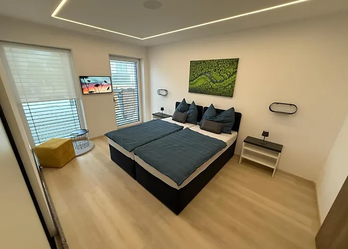 Zahradnicka アパート ミヤバ