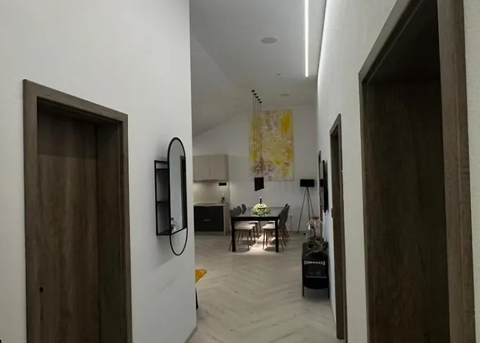 Zahradnicka アパート ミヤバ